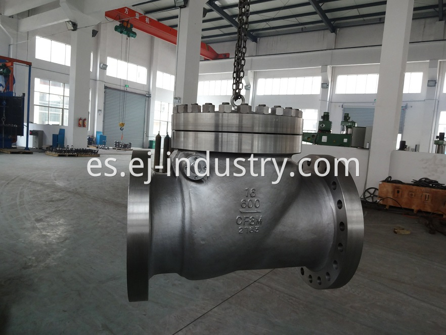 API6D CHECK VALVE